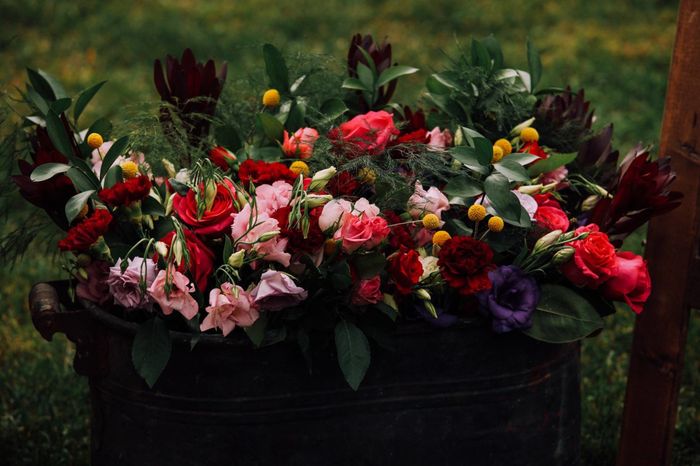 Pro Bam, Boho Backyard West Virginia Wedding