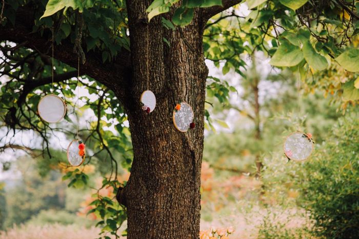 Pro Bam, Boho Backyard West Virginia Wedding