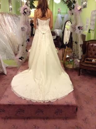 Here's my dress!! What do you guys think?
