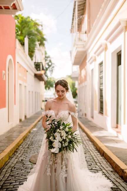 Question for Brides Who Are Wearing Ivory Dresses 4