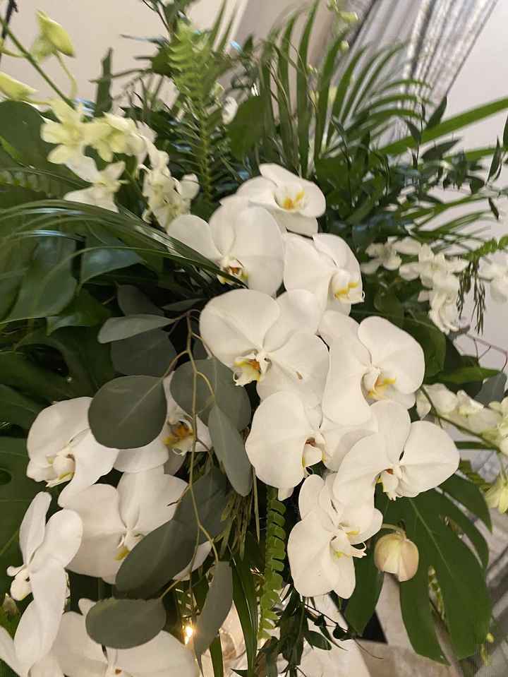 we did It!!! 1/30/23 - 11