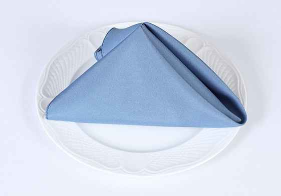 Help me pick my color napkin choice!