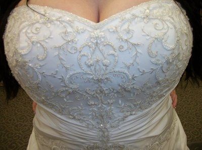 Calling all David's Bridal Brides... Let's see all the dresses and see who's dress twins! :D
