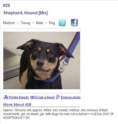 NWR: What kind of dog do you have?