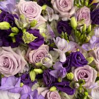 Bam!!!!  Non-pro photos included ❤️ - 5