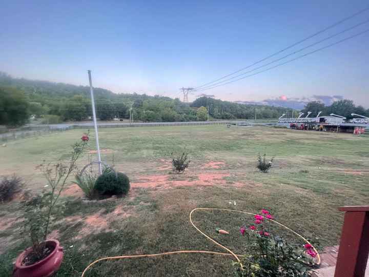 Backyard wedding - 1