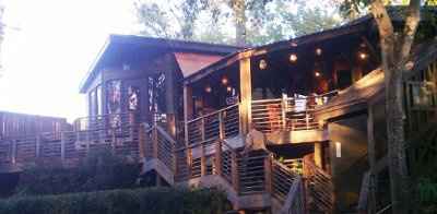 Married at last...and I survived!