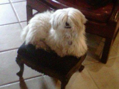 NWR: Furry Friends