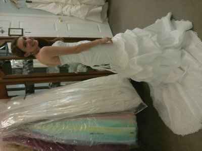 My dress is IN!!! EDIT: Pictures!!