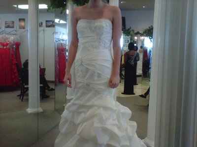 I found THE dress!!