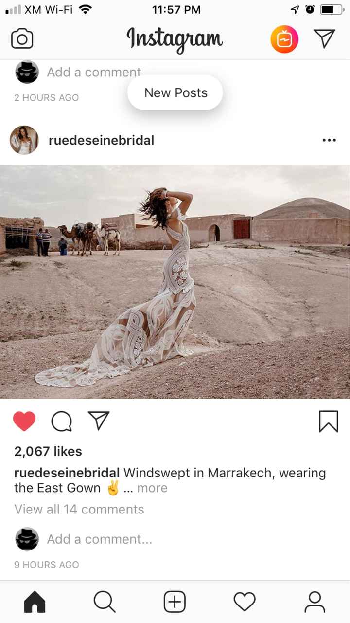 Veil, No Veil Photos - 2