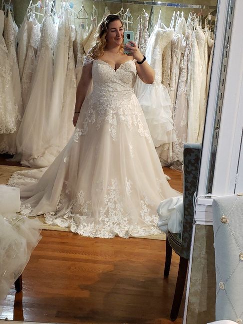 Wedding dress photos - 1