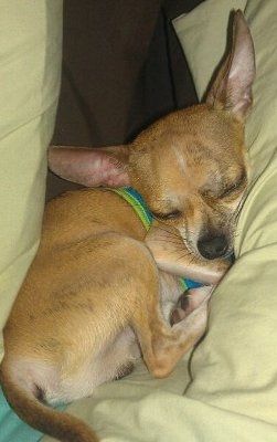 It's my baby's 1st Birthday! (PICS)