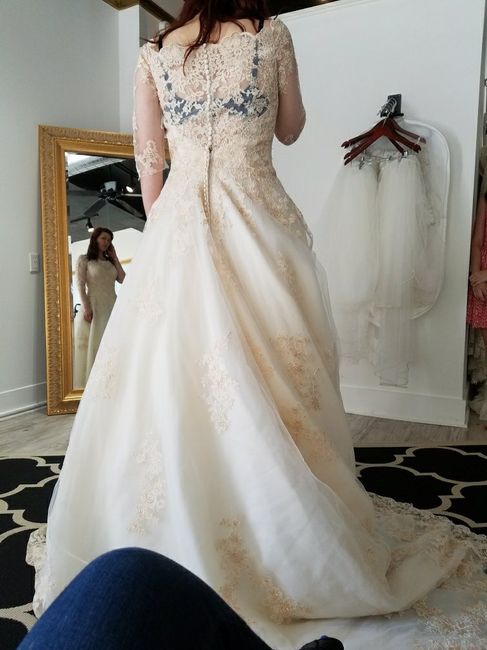 Wedding dress alterations - 2
