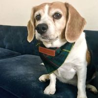 Show me your fur babies!