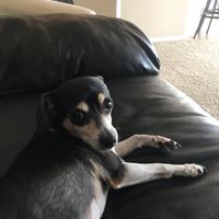 December 2019 Brides, Let's chat......❤ - 2