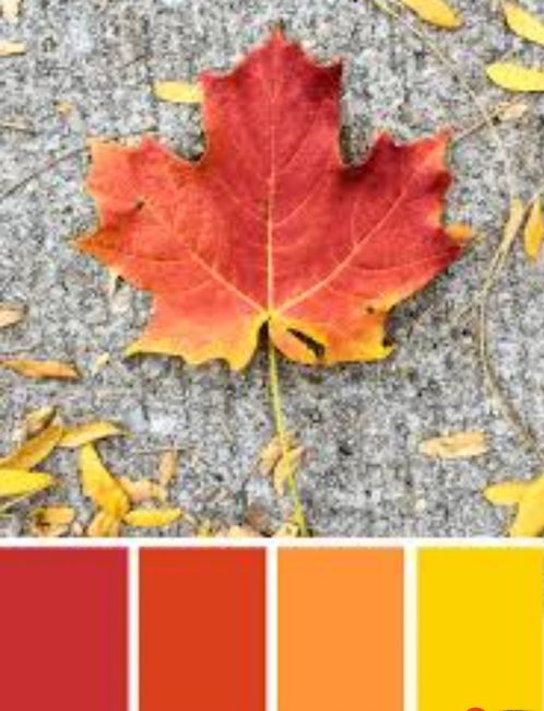 Color schemes for fall - 6