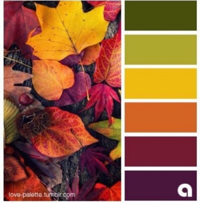 Color schemes for fall 9