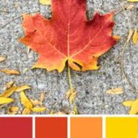 Color schemes for fall - 6