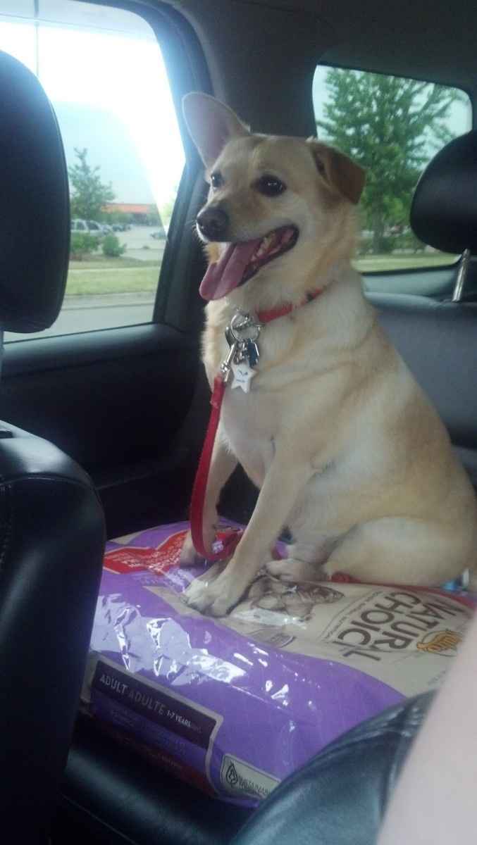 your fur babies baby pics- share'em if you got'em