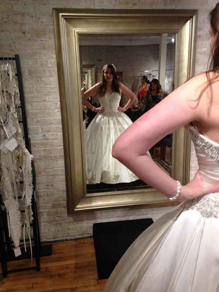 My Dress is In!!!! ( Pics)