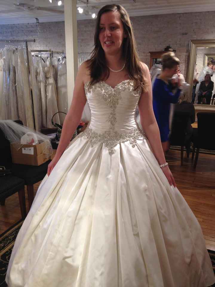 My Dress is In!!!! ( Pics)