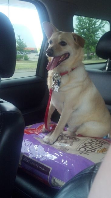 your fur babies baby pics- share'em if you got'em