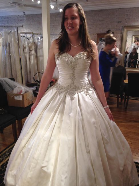 My Dress is In!!!! ( Pics)