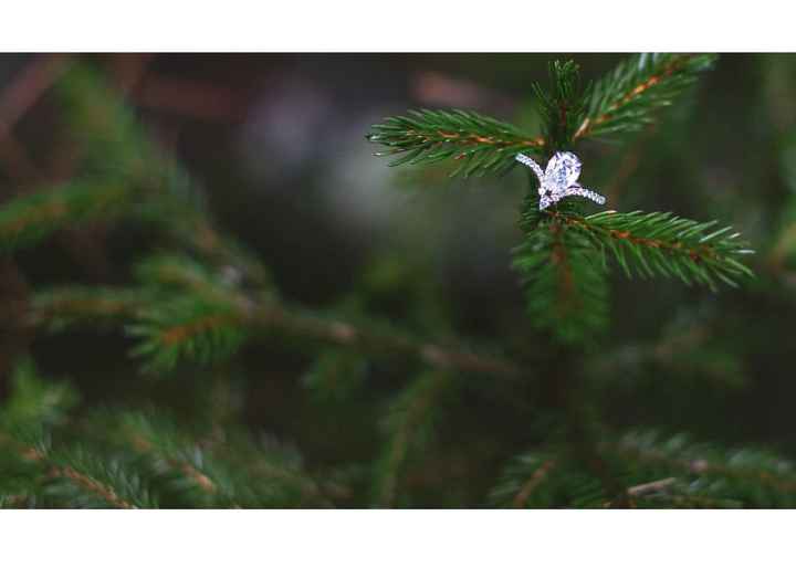 2024 Brides - Show us your ring! - 1