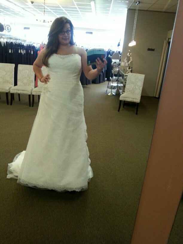 Plus Size Brides , share your dress !