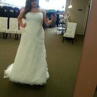 Plus Size Brides , share your dress !