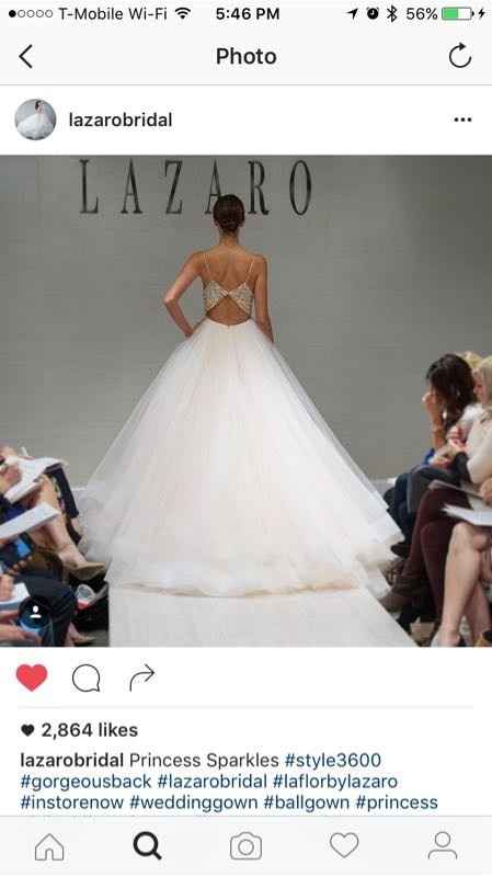 Let me see your DRESS!