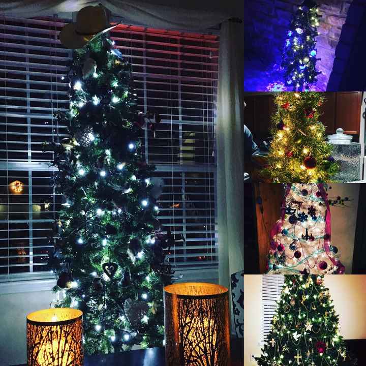 NWR: Christmas Tree