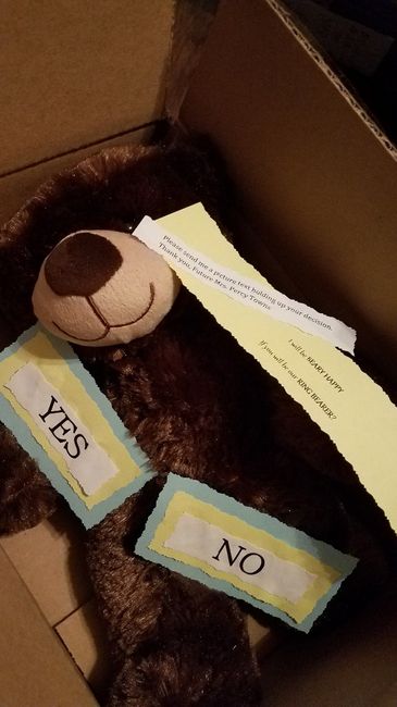 DIY For Ring Bearers