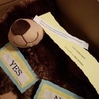 DIY For Ring Bearers