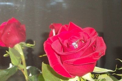 More engagement piictures