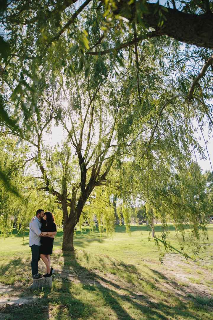 Yet another Introduction...