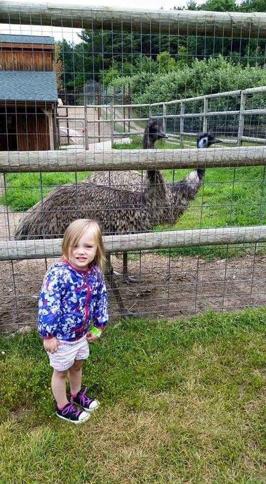 I'm back! Update on trip with FH's family (especially FMIL)
