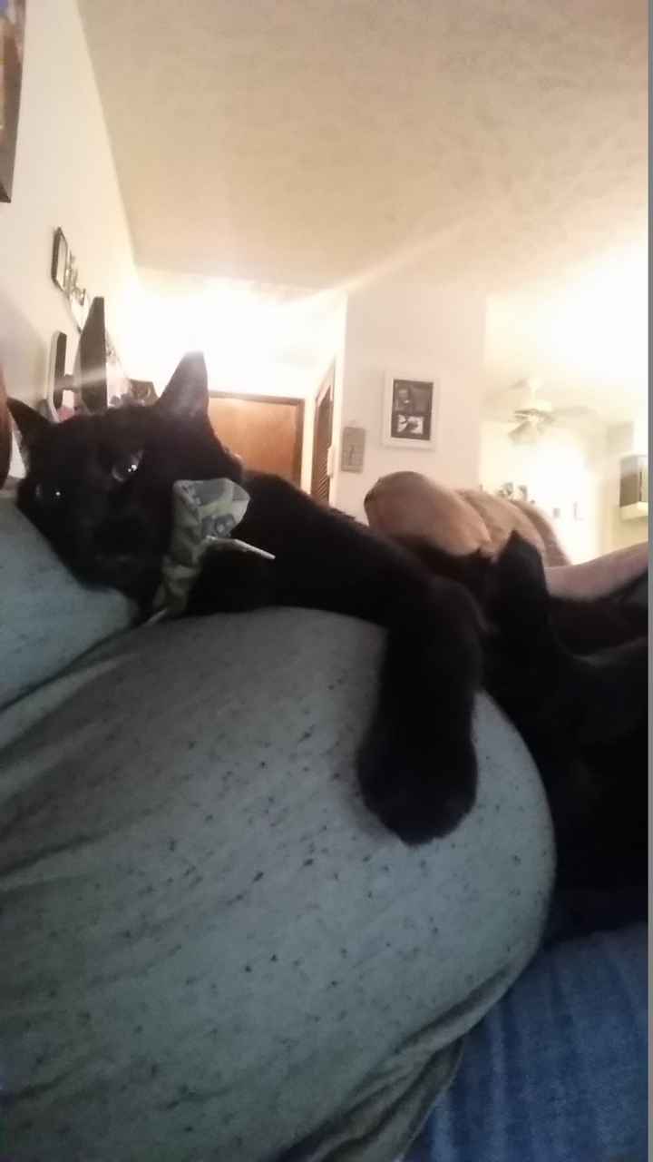 NWR:  Thursday Fursday