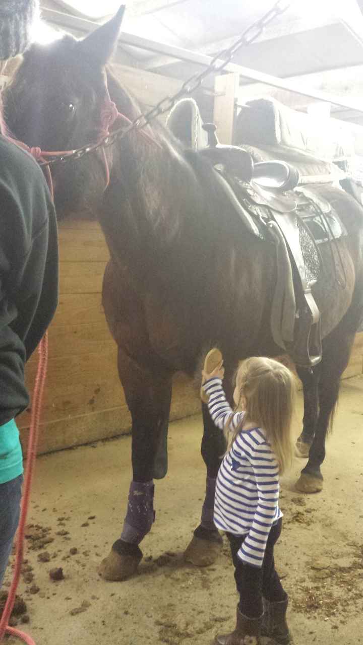 NWR: Equestrians of WW