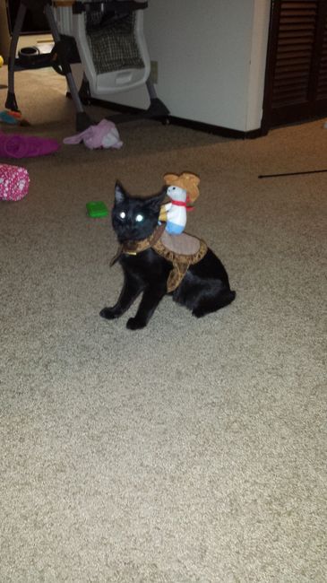 Halloween FURSday!!