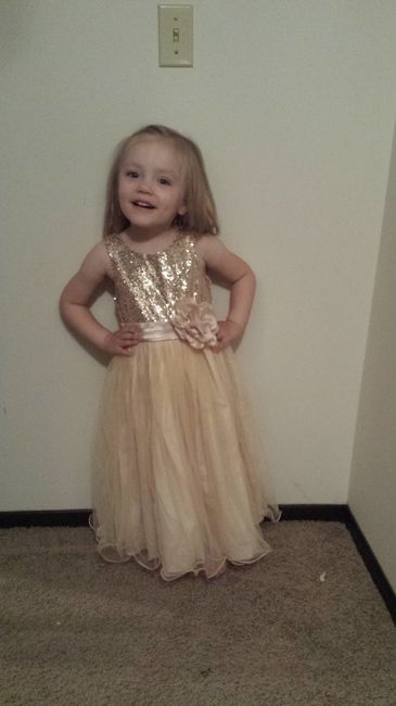 Flower Girl Dress