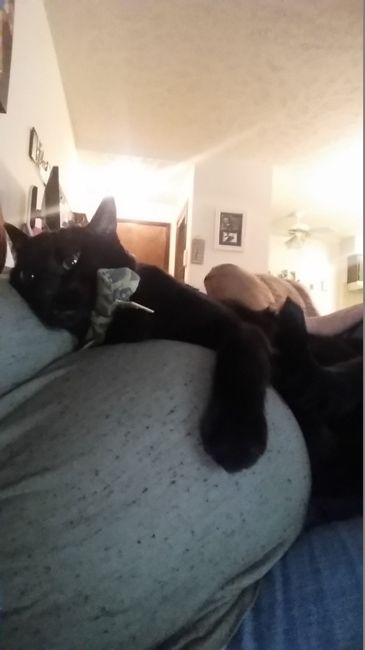 NWR:  Thursday Fursday