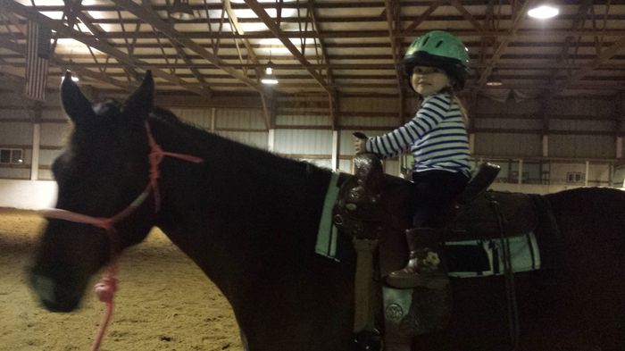 NWR: Equestrians of WW