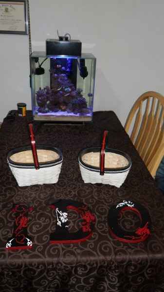 More DIY * Pics*