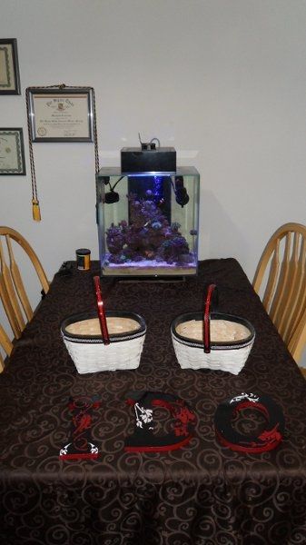 More DIY * Pics*