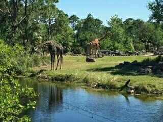 BAM-A-LAMA!!! I WentBaldwin! (Nonpro) added more pics