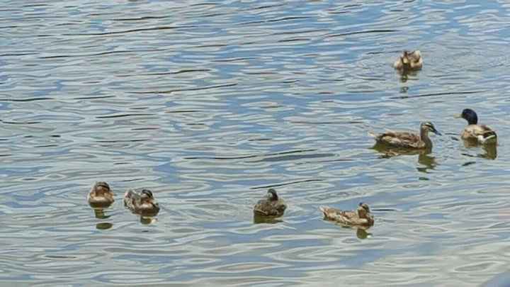 My honeymoon is over :'(