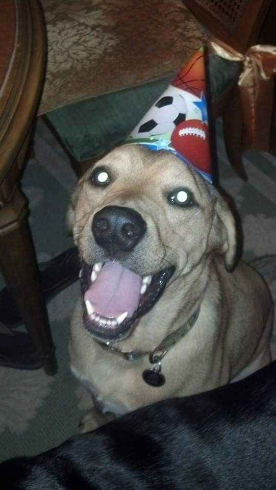 NWR: I need a pick-me-up