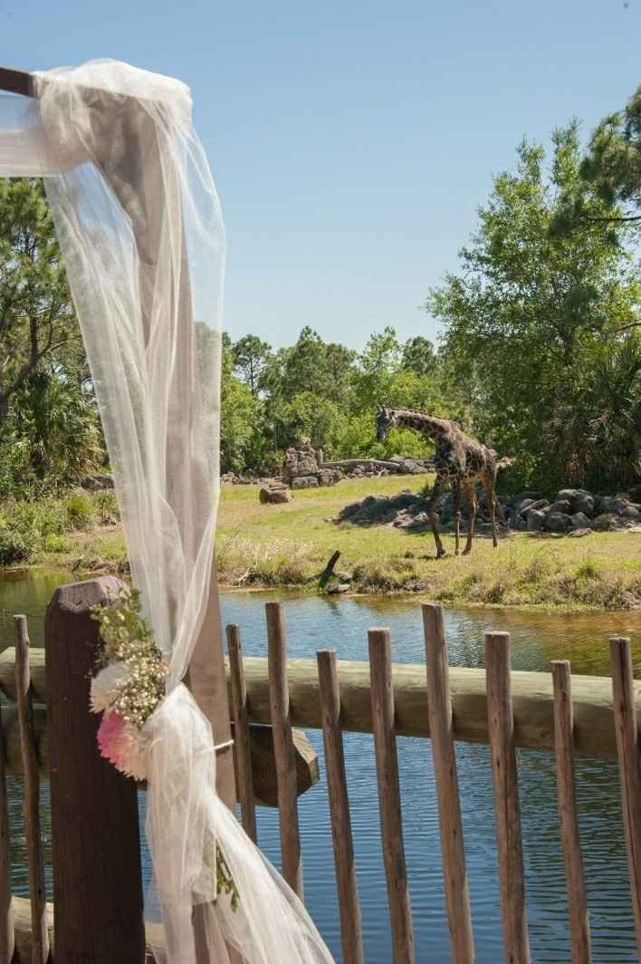 PRO BAM--  might be a double post , having trouble posting